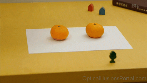 Orange Sketch Illusion 1