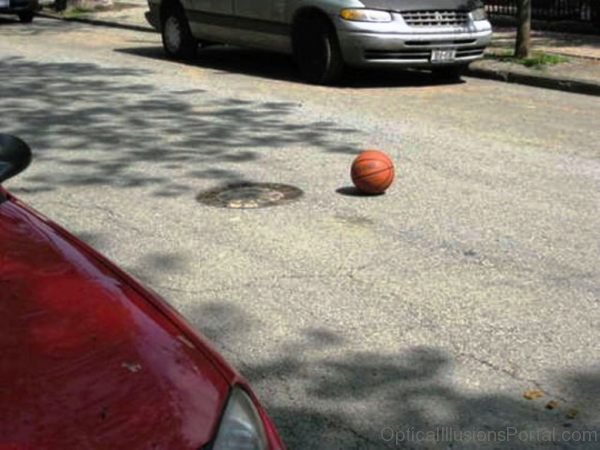 Painted Basket Ball Optical Illusion