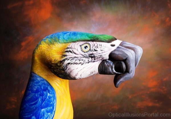 Painted Hands Parrot