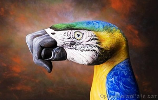 Parrot Bird Optical Illusion