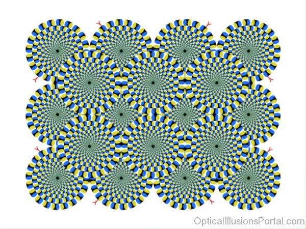 Perception Motion Afteraffect Illusion