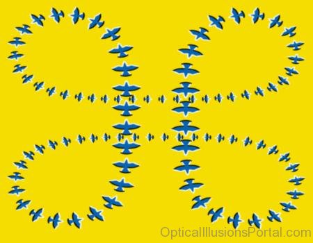 Planes Optical Illusion