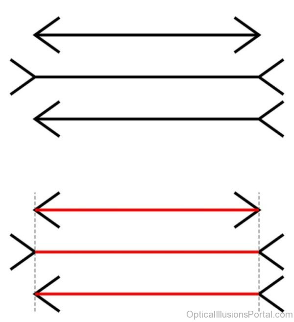 Ponzo Lines Illusion
