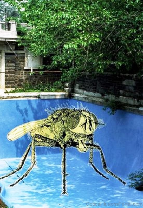 Pool Illusion 1