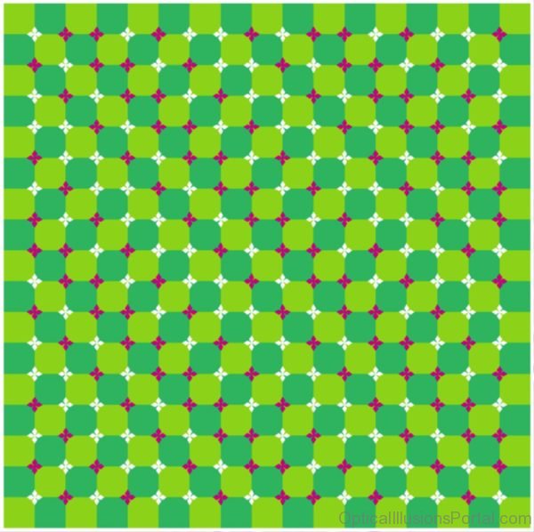 Primroses Field Green Illusion