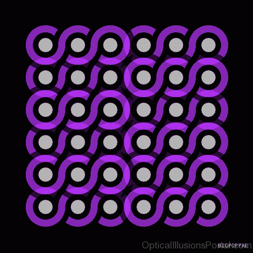 Purple Circles 1