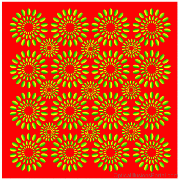 Red Moving Dongirarin Illusion