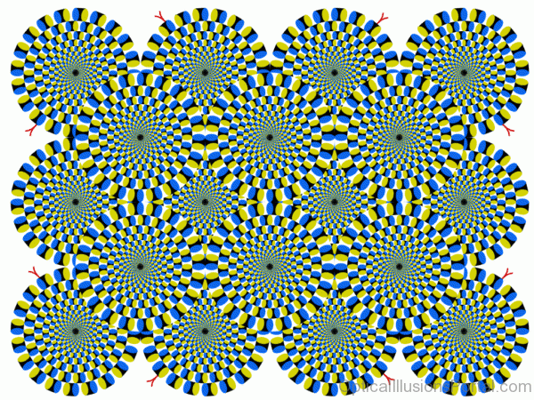 Rolling Circles