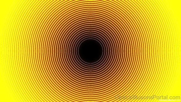 Rotation Optical Illusion 1