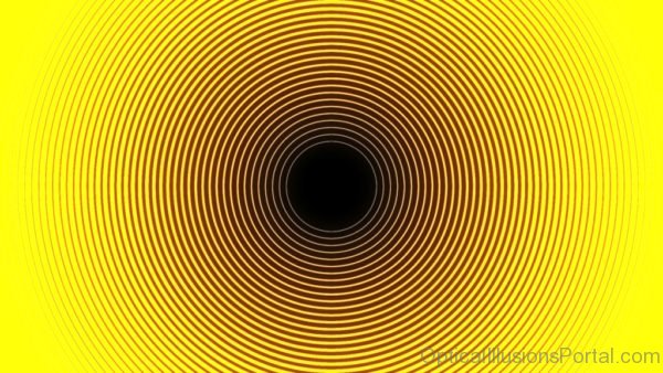 Rotation Optical Illusion