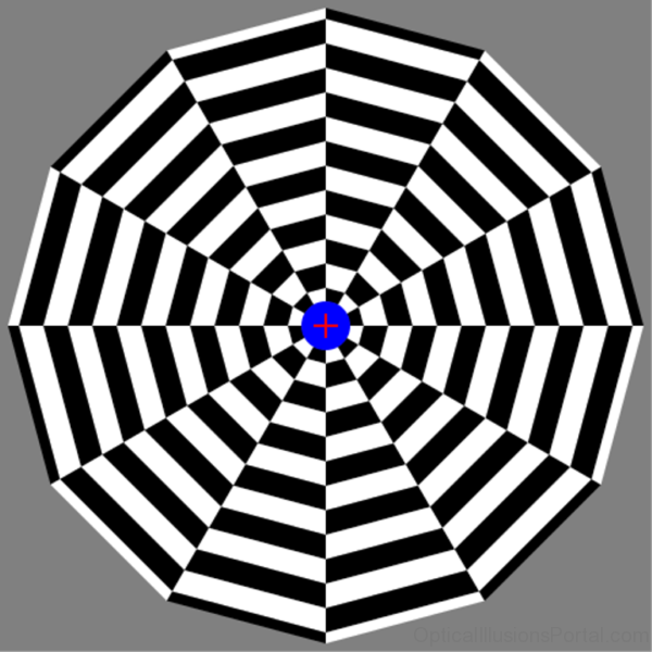 Round Motion Aftereffect Illusion