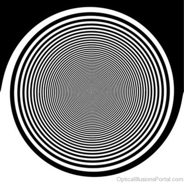 Round Puzzle Illusion