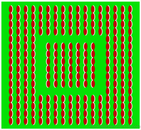 Sausages Green Illusion