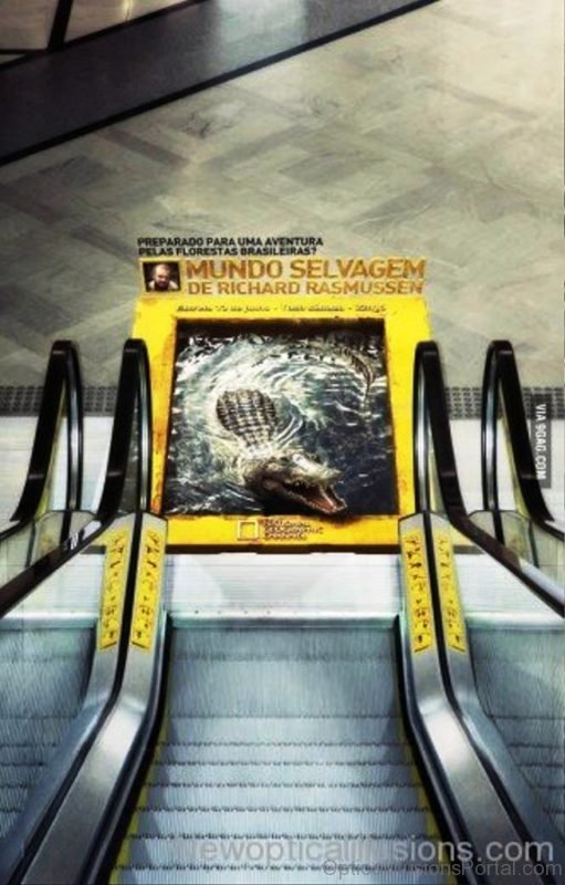 Scary Escalator Illusion 1