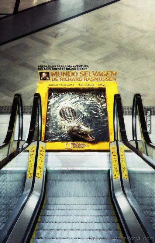 Scary Escalator Illusion