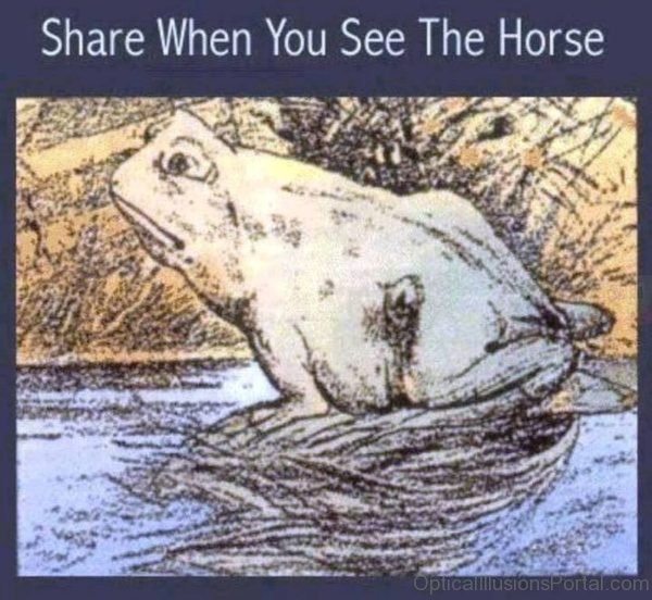 See the Horse Optical Illusion