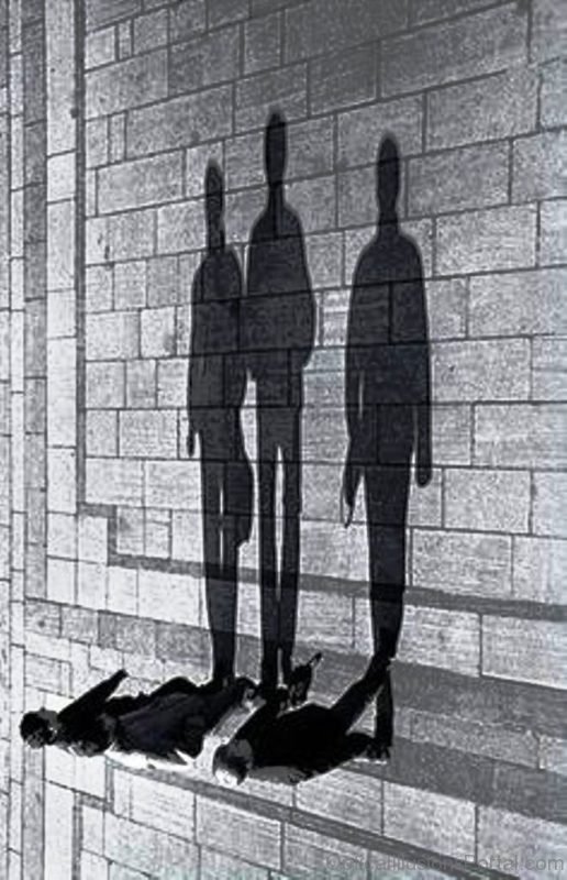 Shadow Illusion Knows