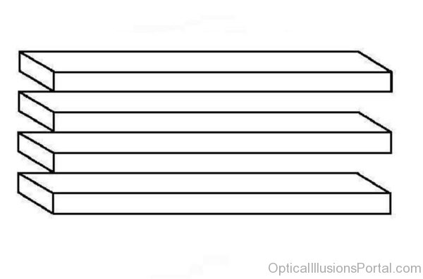 Shelves New Optical Illusion