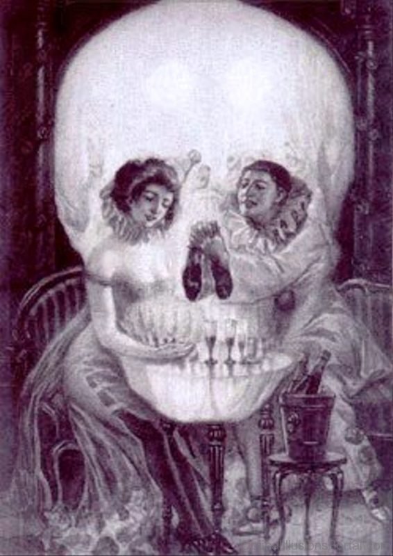 Skull Or Face Illusion