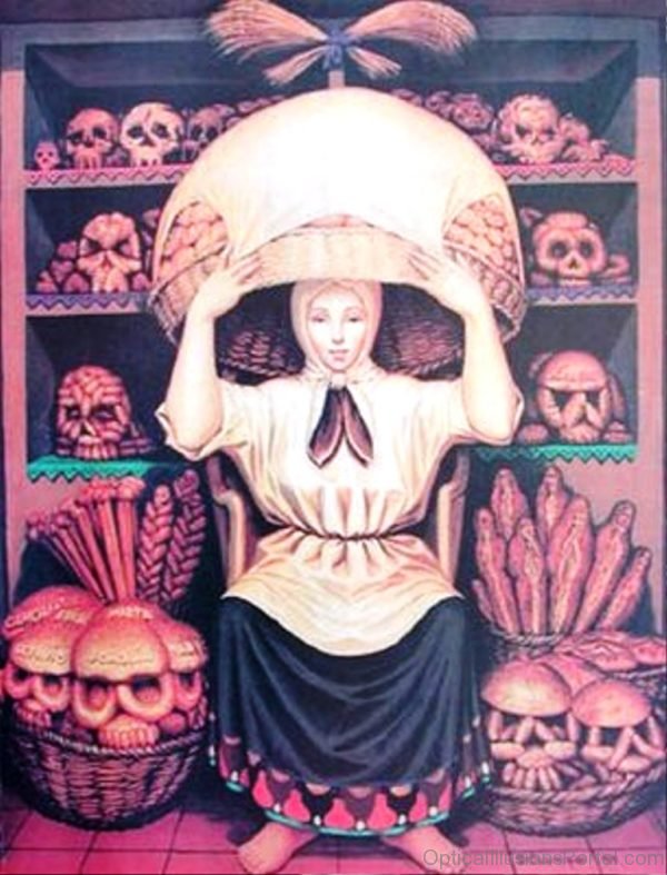 Skull Or Lady Illusion
