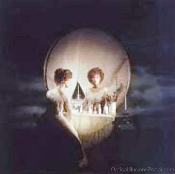 Skull Or Reflection