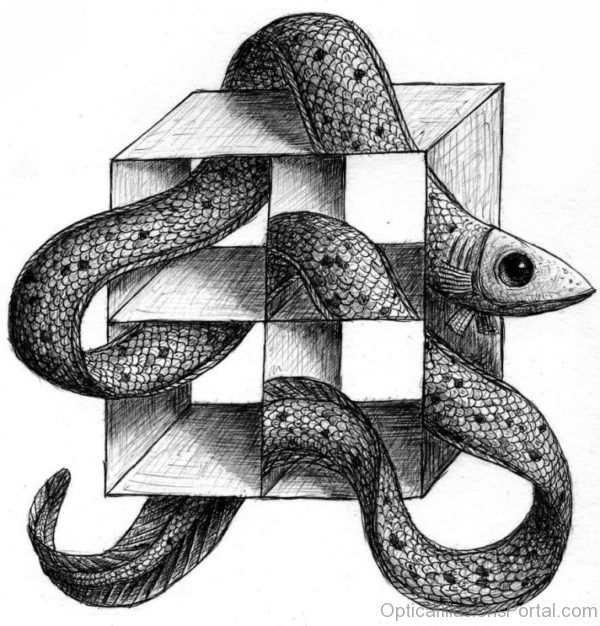 Snake Optical Illusion
