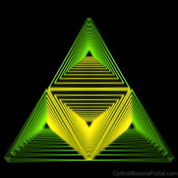 Snook Optical Illusion 1