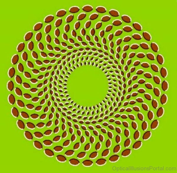 Spinning Donut Illusion
