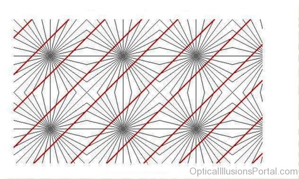 Straight Lines – New Optical Illusion