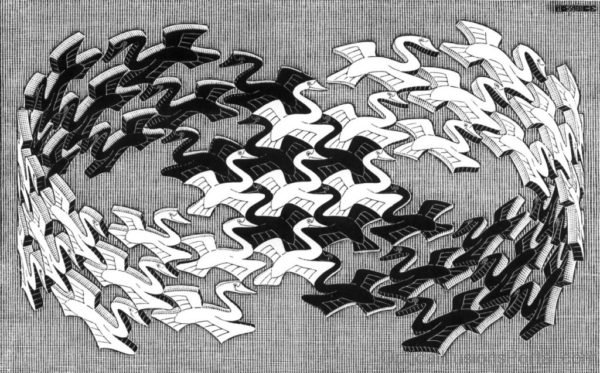 Swans Illusion