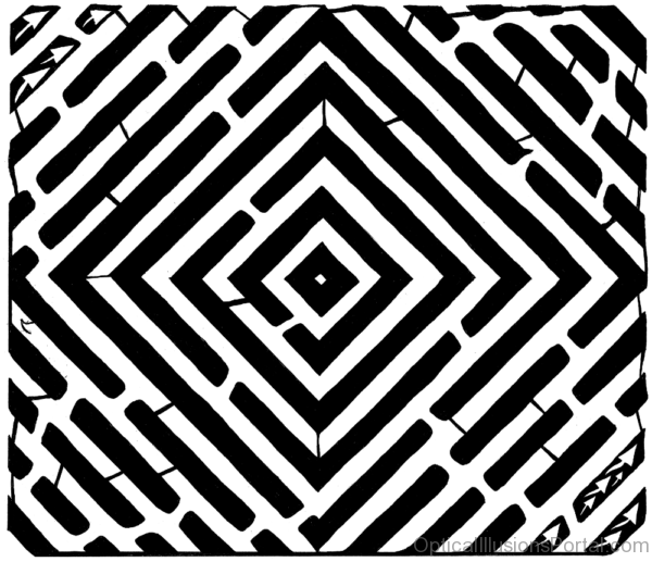 Swirly Optical Illusion Maze