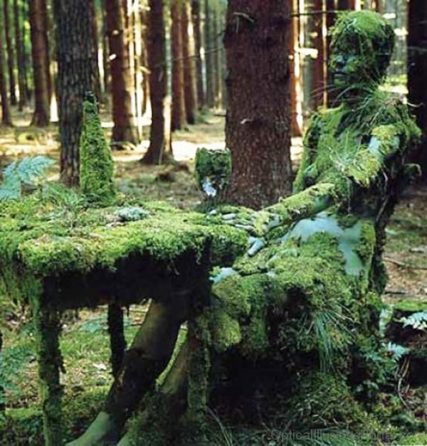 The Mossy Lady Optical Illusion