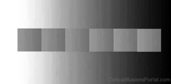 The Ultimate Optical Illusion