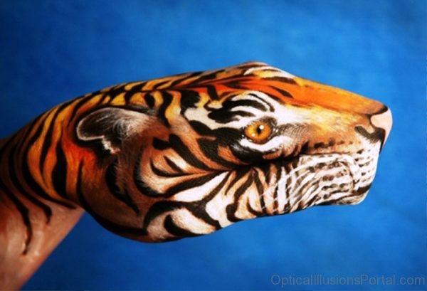 Tiger Optical Illusion
