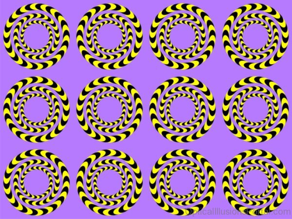 Tiger Tails Illusion