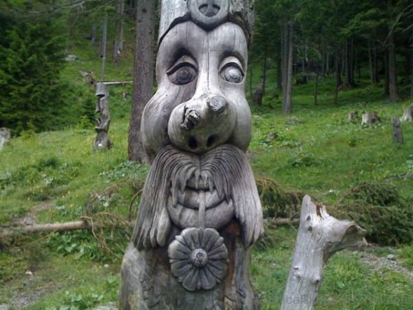 Tree Carving Art Illusion