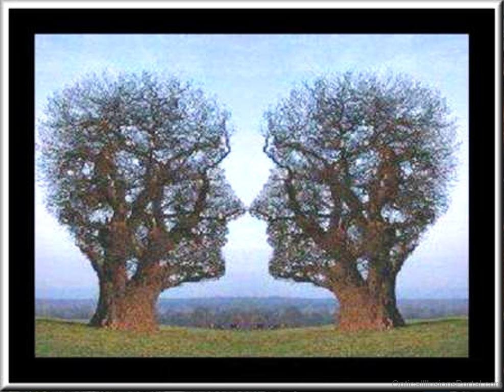 45 Good Multiple Meanings Illusion