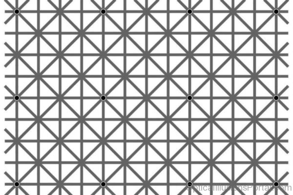 Twelve Black Dots Optical Illusion