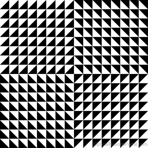 Vector Illusion
