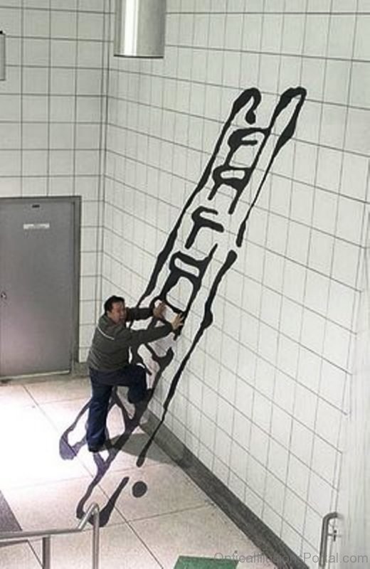 Wall Ladders Illusion