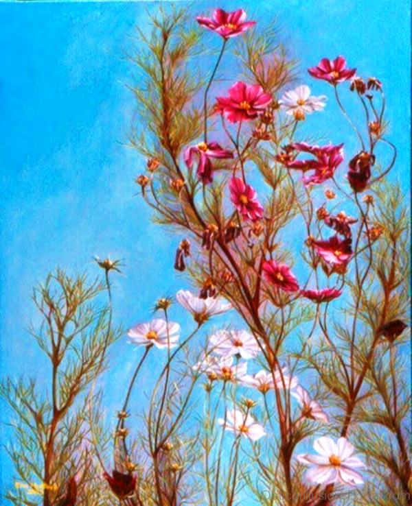 Woman In Flower Optical Illusion