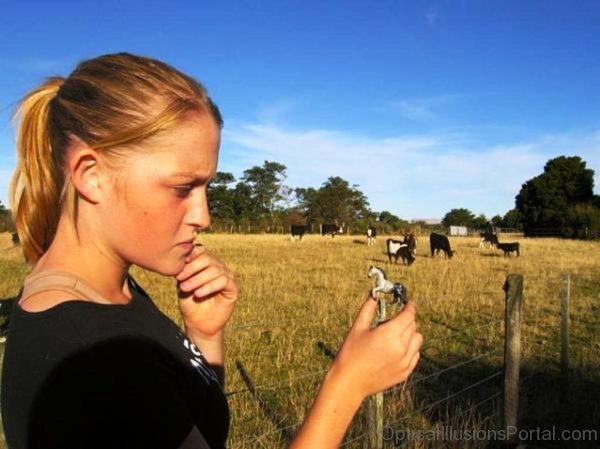 Woman WIth Horse