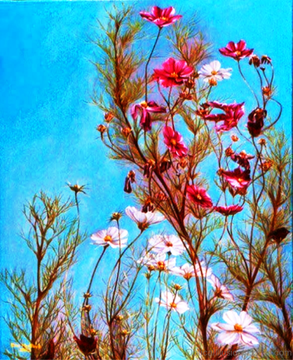 Woman in Flower Optical Illusion