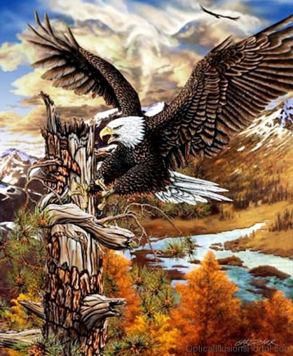9 Hidden Eagles Optical Illusion
