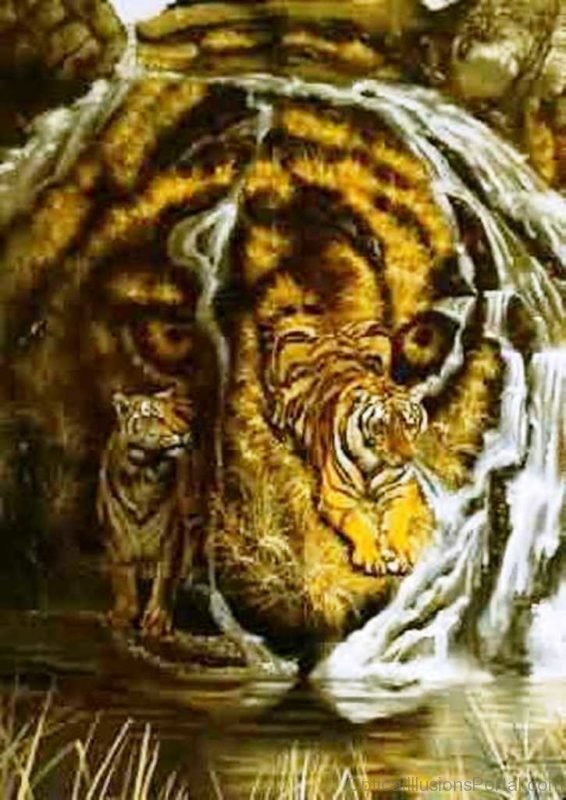 Another Hidden Tiger Illusion