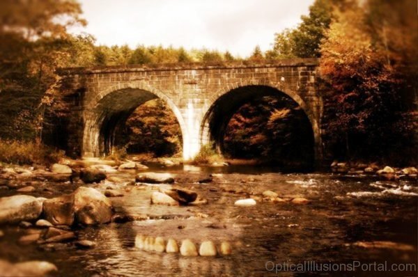 Bridge Skull Optical Illusion