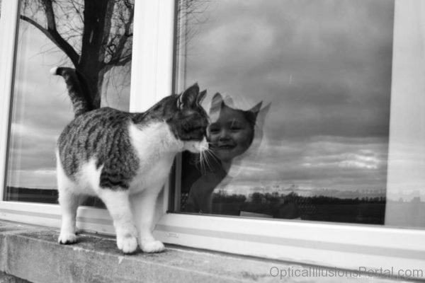 Cat With Child Reflection