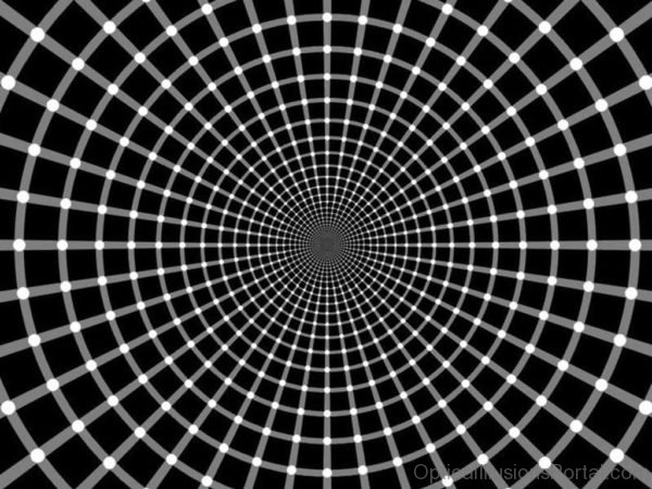 Circle Illusion
