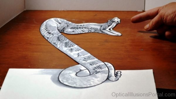 Cool Anamorphic Snake Illusion