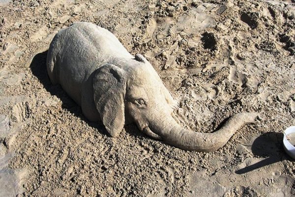 Elephant Hidden Sand Optical Illusion